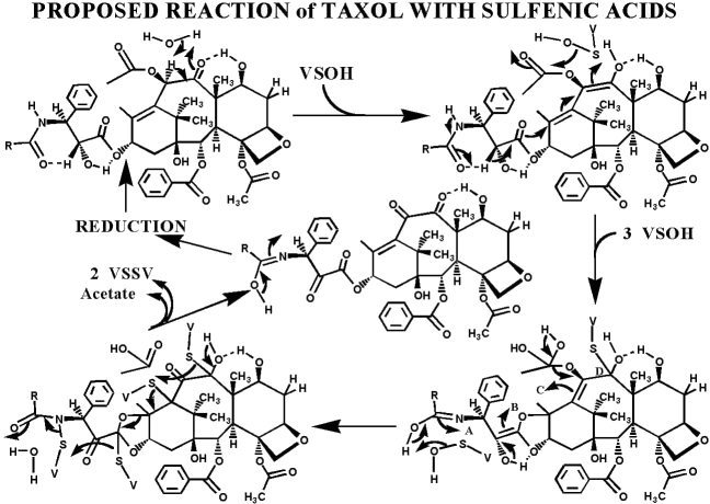 avastin structure. Watson and uses of avastin structure Human and lucentis andapr , was posted