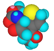 Calichemicins